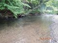 DSCN0467