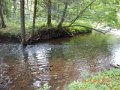 DSCN0475