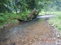 DSCN0479
