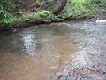 DSCN0487