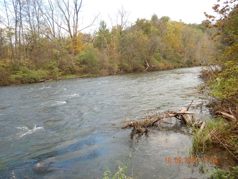 $Spring Creek002$.jpg - Pretty much fished nymphs all three days with little luck.
