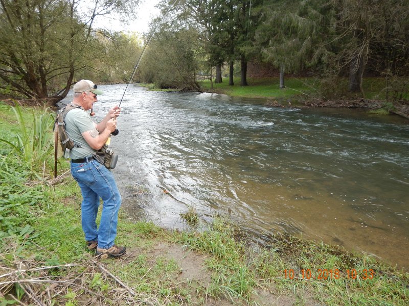 $Spring Creek006$.jpg - Mikes luck was not much better but he did land two.  Here he is landing his first.