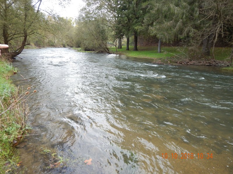 $Spring Creek008$.jpg - The fish was living in this part of the stream.