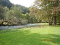 $Spring Creek010$