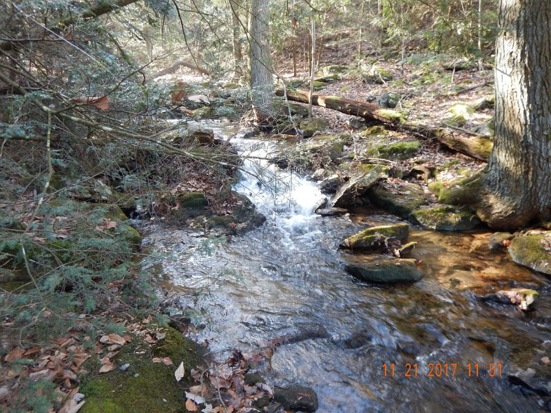 DSCN2780.jpg - This is a really small stream but boy do I love it.  Right now, I'd have to say it's my favorite.  It's challenging to fish but it is rewarding.