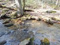 DSCN2779