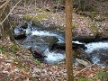 DSCN2809