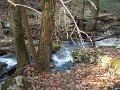 DSCN2810