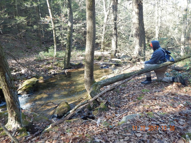 DSCN2892.jpg - It is easy to pick the fishy spots when the water is this low.  Here Gary is working a nice run.