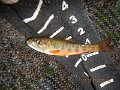 DSCN2879