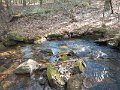 DSCN2884