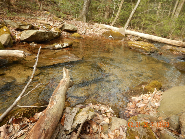 DSCN1847.jpg -                                This stream is a riffle, pool, riffle kind of stream.  Water temps were still cold (obviously, duh, it is February) and the fish were holding in the bottom of the deeper holes.