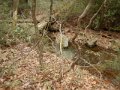 DSCN1860