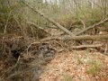 DSCN1861