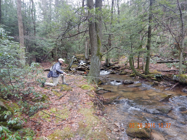DSCN0907.jpg -                                