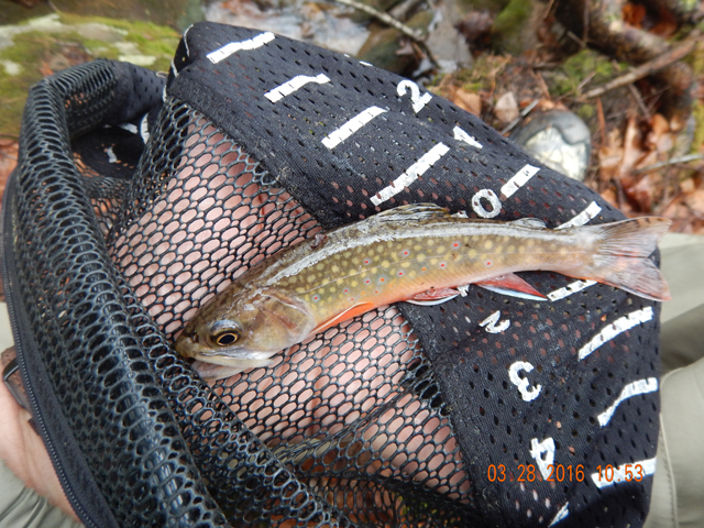 DSCN0909.jpg -                                