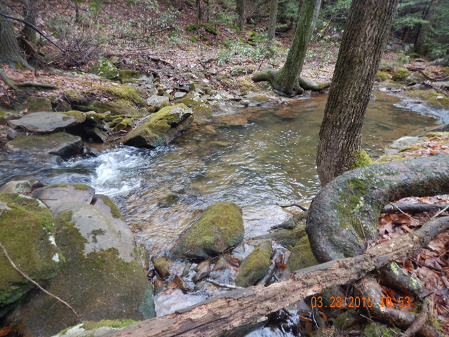 DSCN0910.jpg -                                