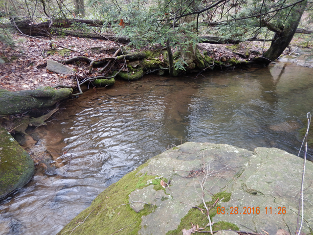 DSCN0916.jpg -                                
