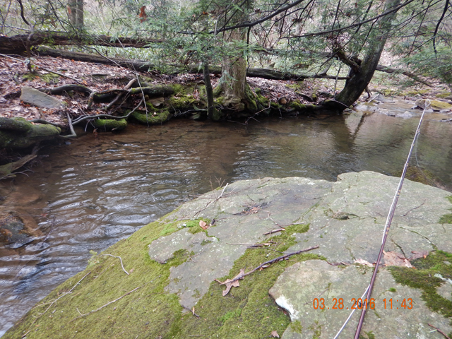 DSCN0921.jpg -                                