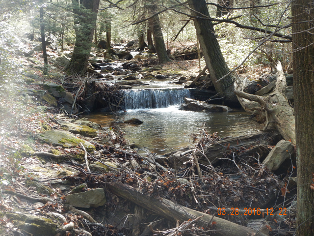 DSCN0933.jpg -                                