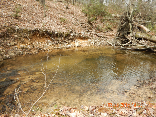DSCN0948.jpg -                                