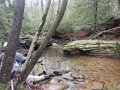 DSCN0926