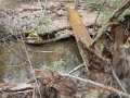 DSCN0950