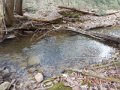 DSCN0955