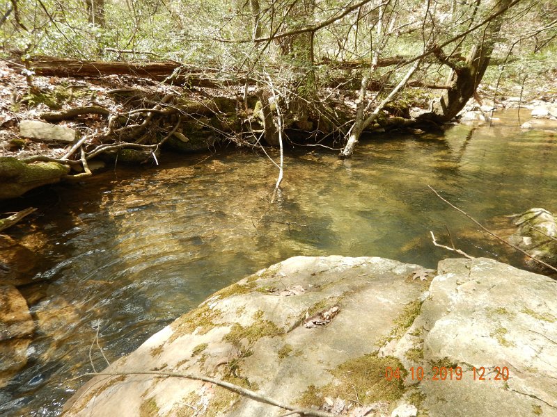 $StoneCabin2007$.jpg - Got those big ones from this pool...and no wonder.