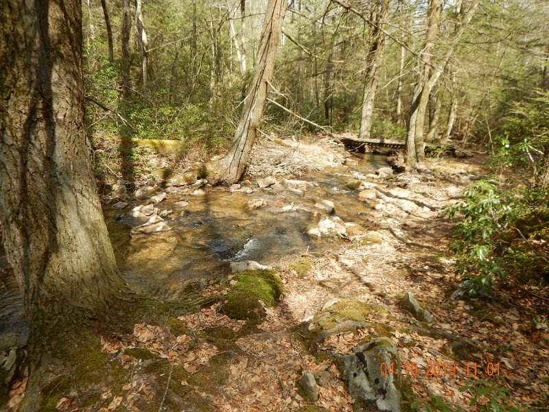 $StoneCabin2024$.jpg - Most people would pass up this water but we are not most people.  This is our type of trout fishing.  AND, didn't seeone other fisherman all day....go figure.