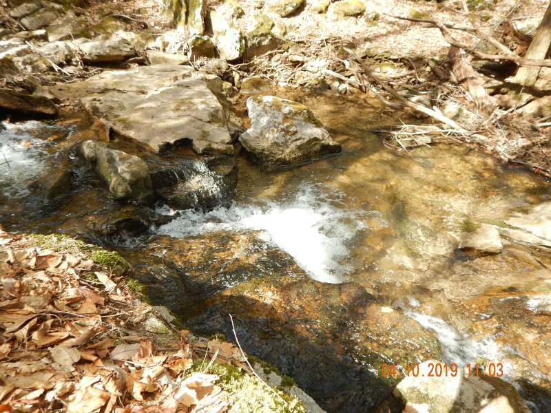 $StoneCabin2026$.jpg - That fish came from this pool.