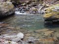 DSCN0237