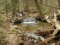 DSCN0239