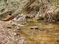 DSCN0244