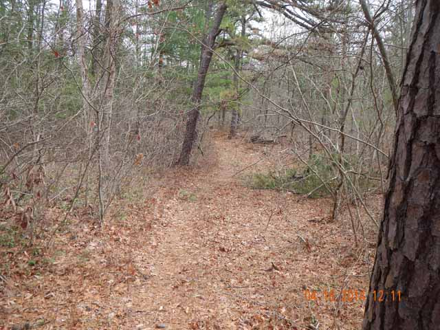 DSCN0480.jpg -                                The path in is in excellent shape.