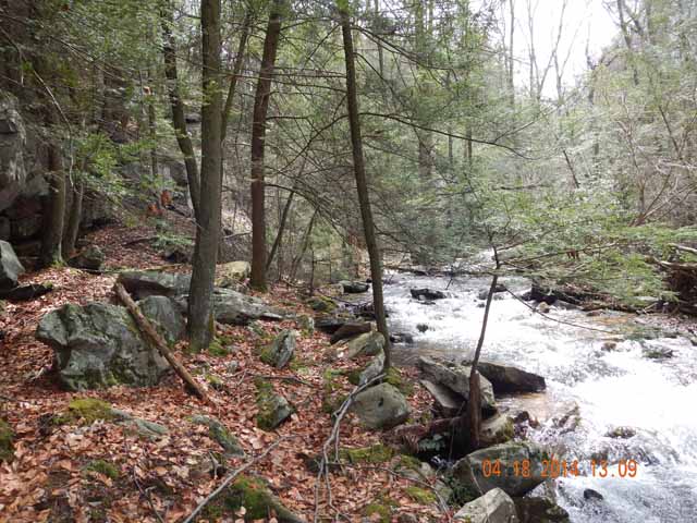 DSCN0488.jpg -                                Scenic 4