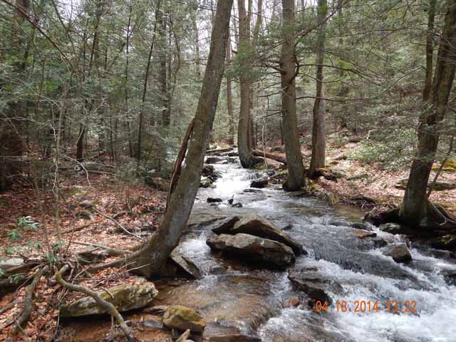 DSCN0491.jpg -                                Scenic 5