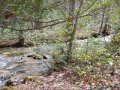 DSCN0478