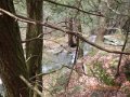DSCN0484