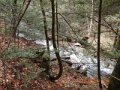 DSCN0485