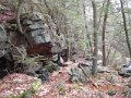 DSCN0487