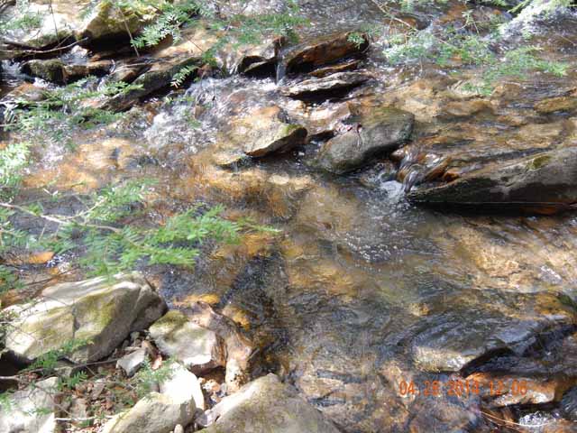 DSCN0518.jpg -                                
