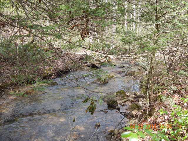 DSCN0519.jpg -                                