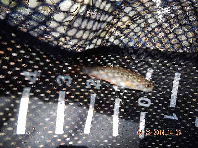 DSCN0526.jpg -                                