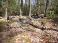 DSCN0515