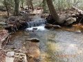 DSCN0524