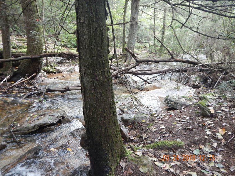 $Stone Cabin009$.jpg - The recent storms did change the stream a bit but I like the changes.