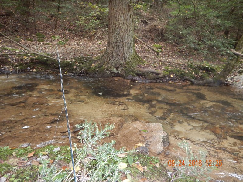 $Stone Cabin013$.jpg - I tried drys in water like this.  Seems like I was switching back and forth all the time I was fishing.