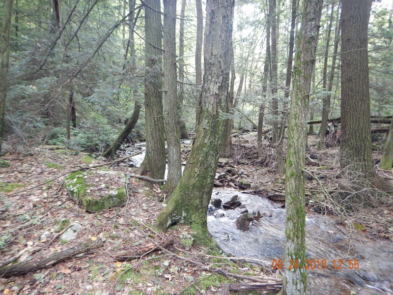 $Stone Cabin020$.jpg - The next spot on the stream looks just as good as the one I fished.