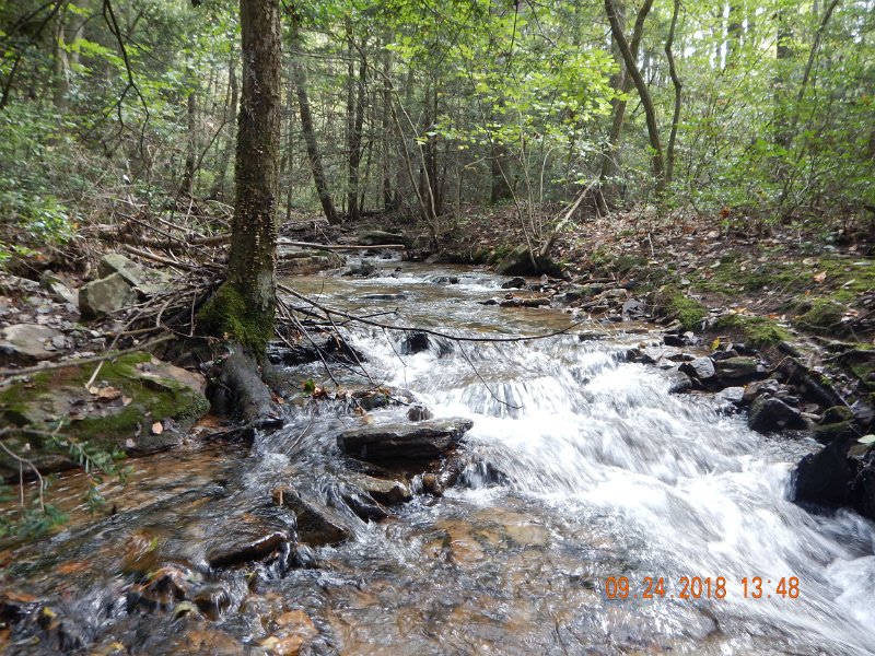 $Stone Cabin029$.jpg - This riffle feeds the previous deep hole keeping the water full of oxygen.
